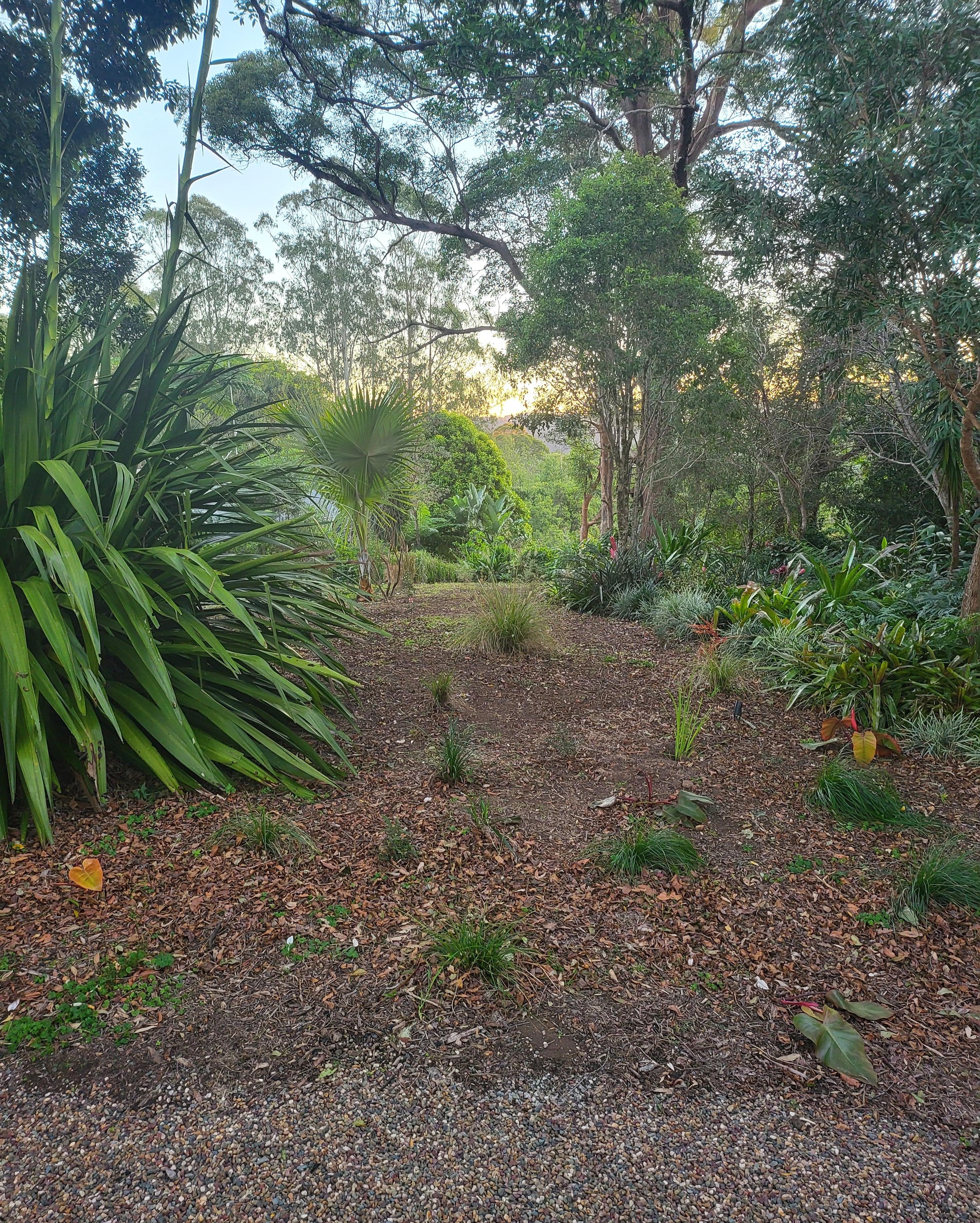 View from the firepit