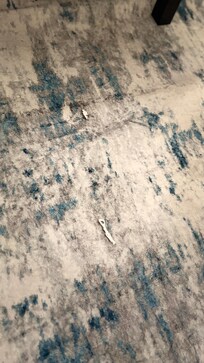 Trash on floor upon check in