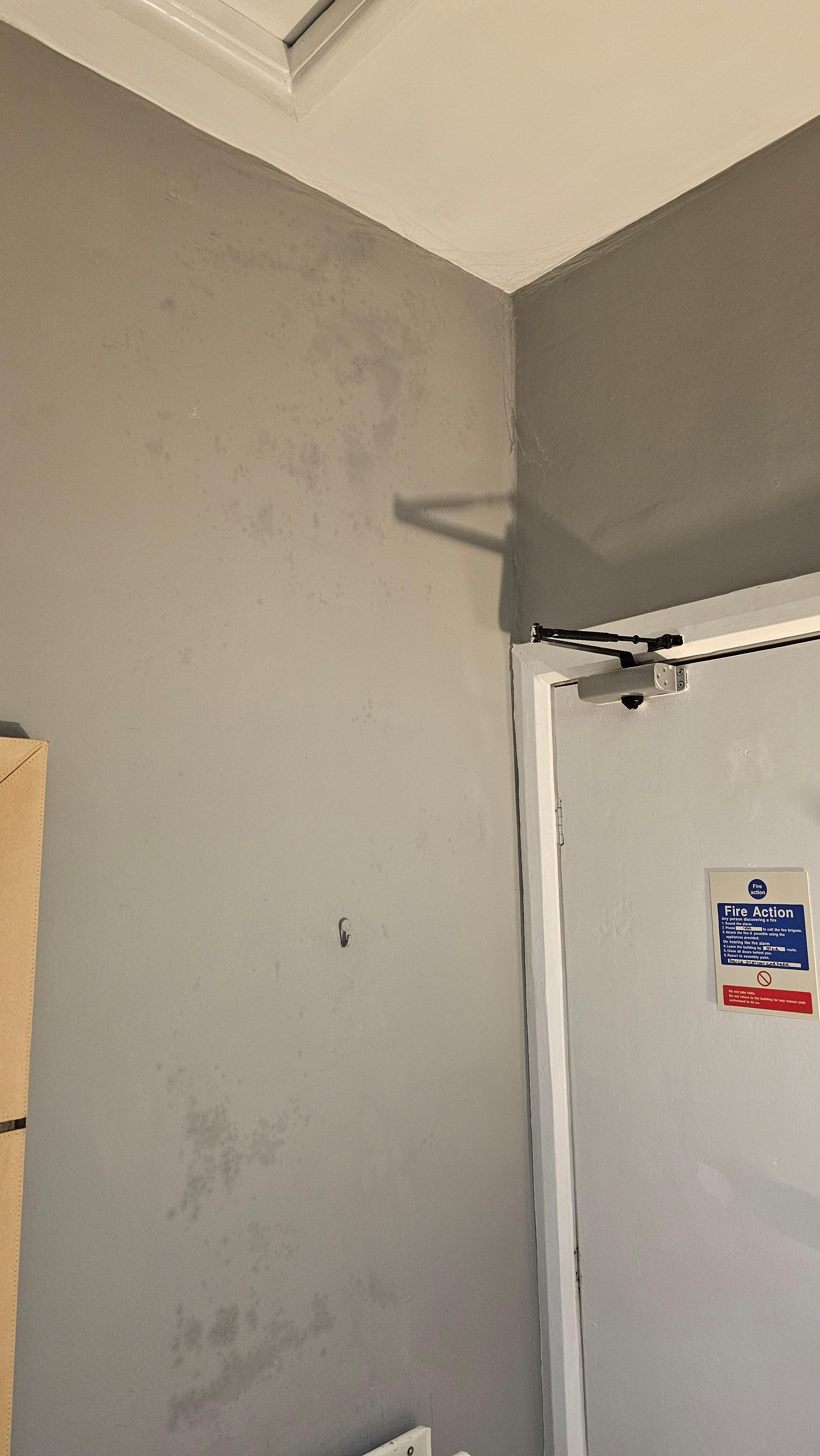 Cob webs in the corner of the room. I have since seen these in other reviews
 