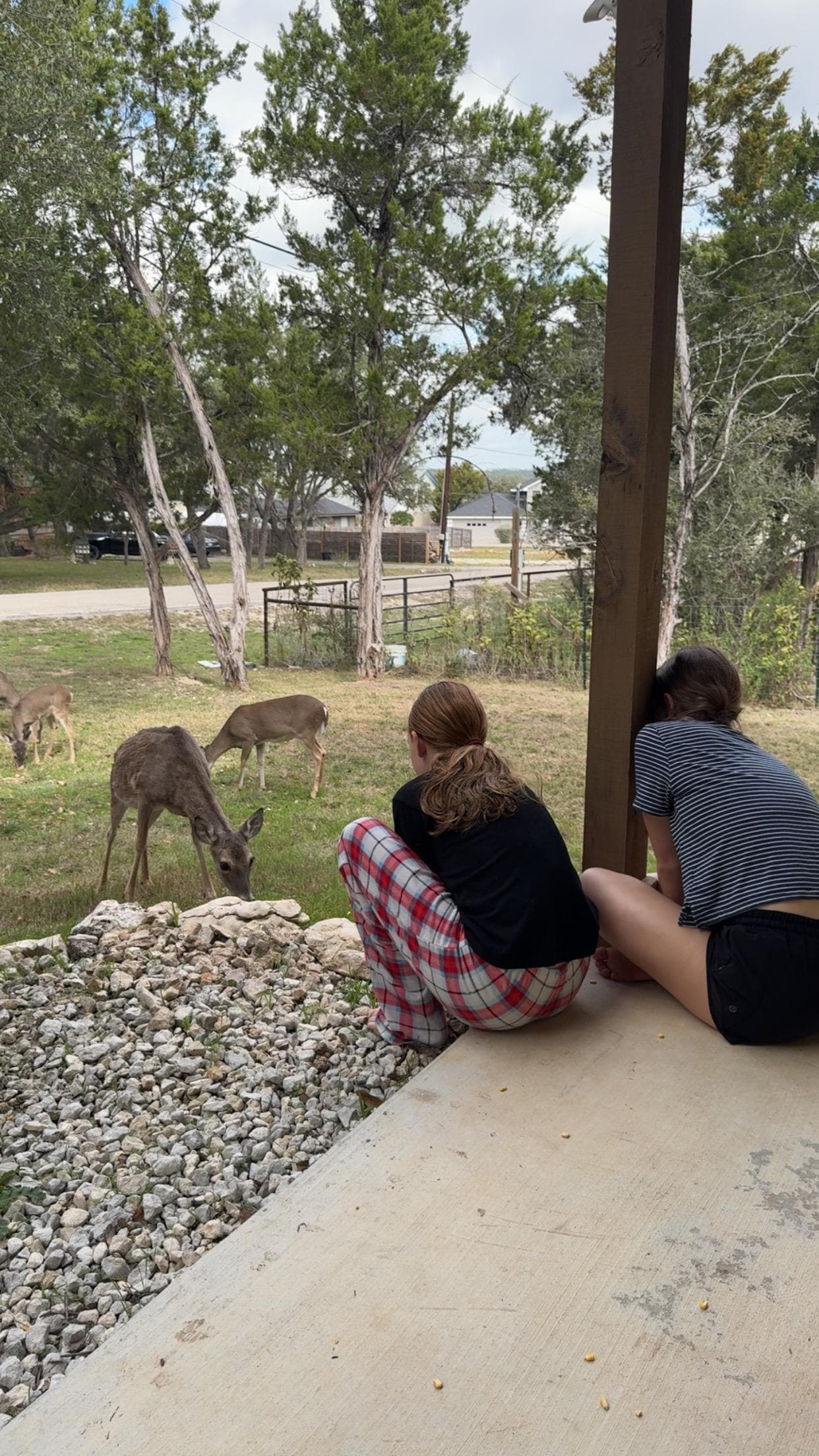 My granddaughters with the deer.