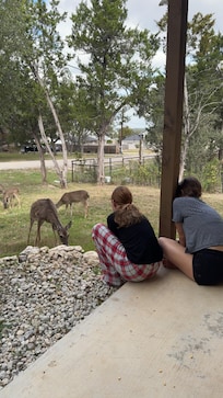 My granddaughters with the deer.
