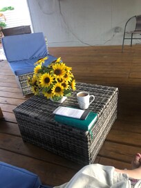Peaceful mornings