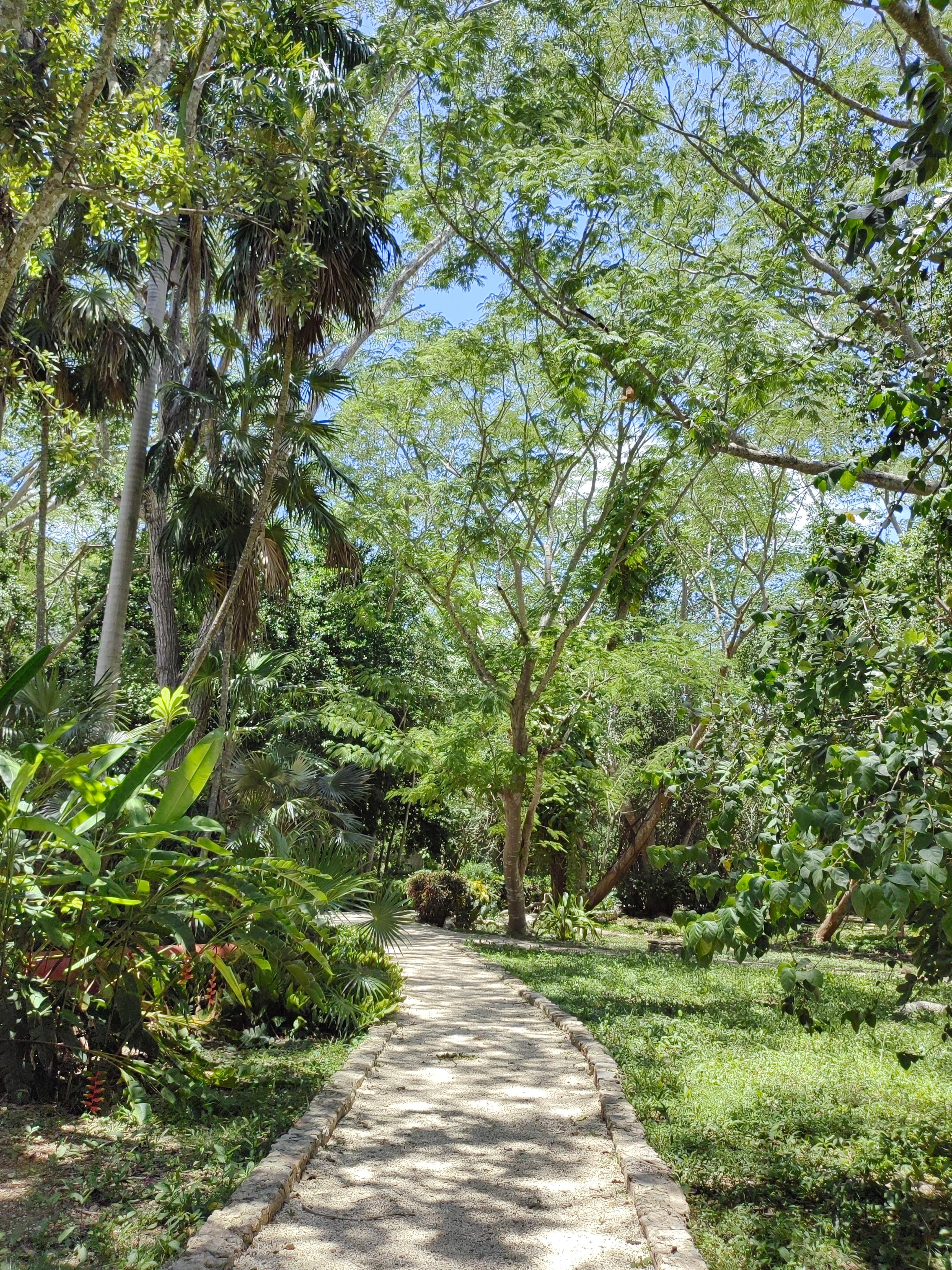 Jardín 