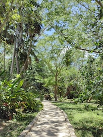 Jardín
