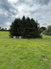 Große Wiese im Ort zum Hundeauslauf