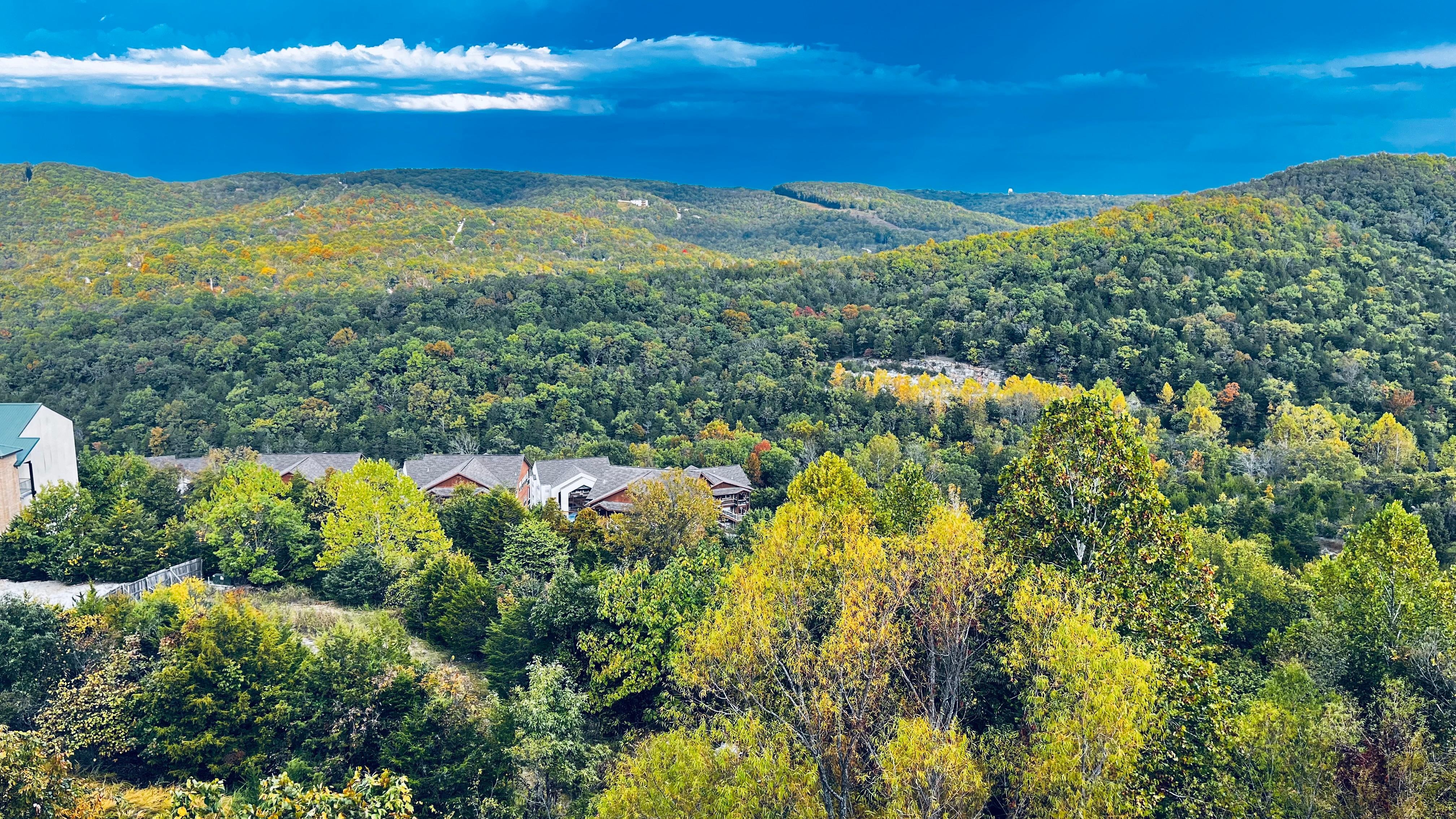 The look off the deck starting of fall 