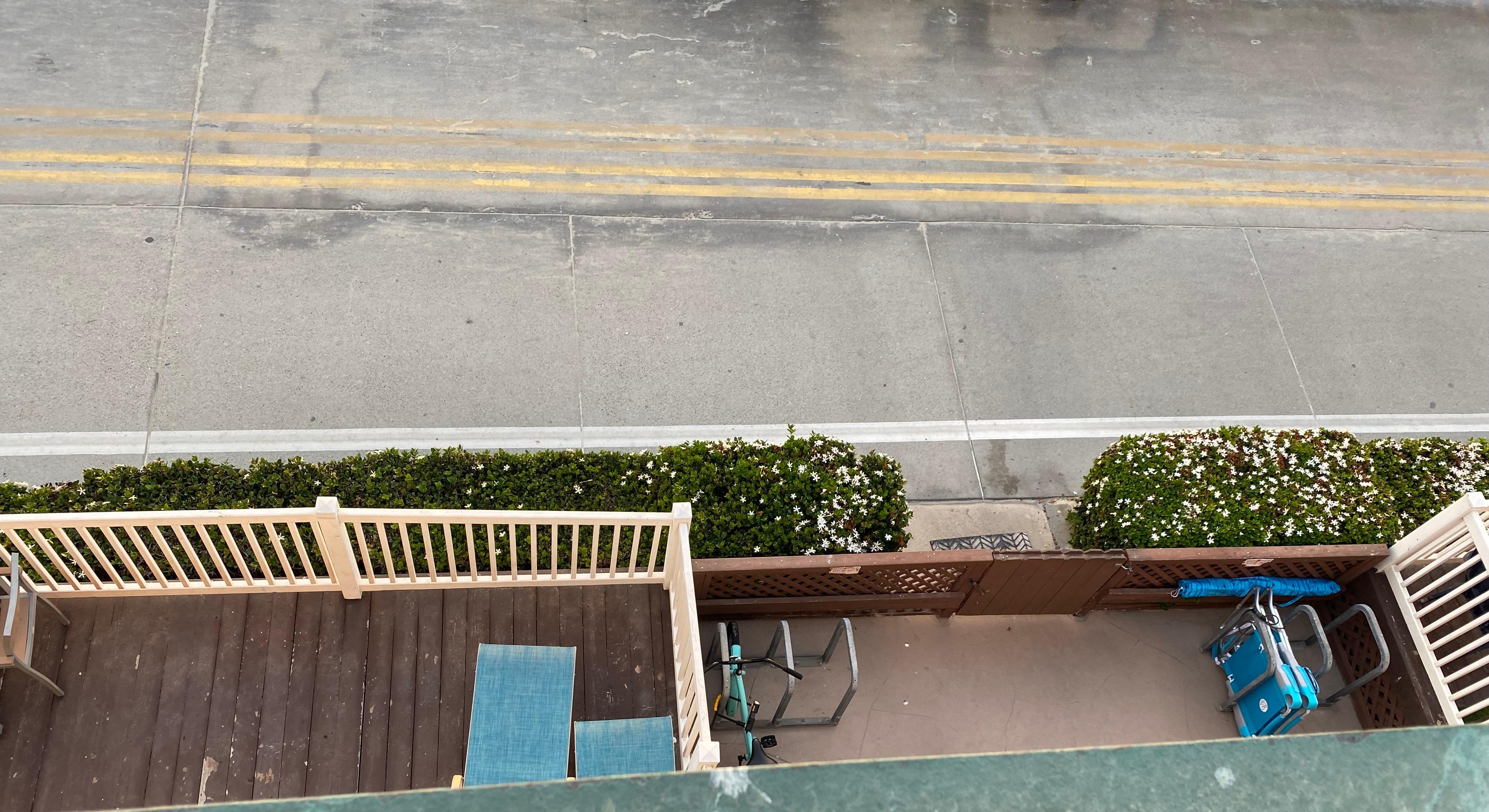 Looking down from the rooftop deck, the smell of honeysuckle was lovely.