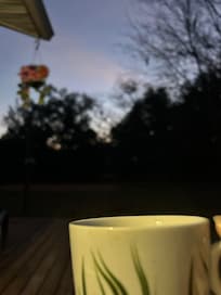 Fresh start to each day