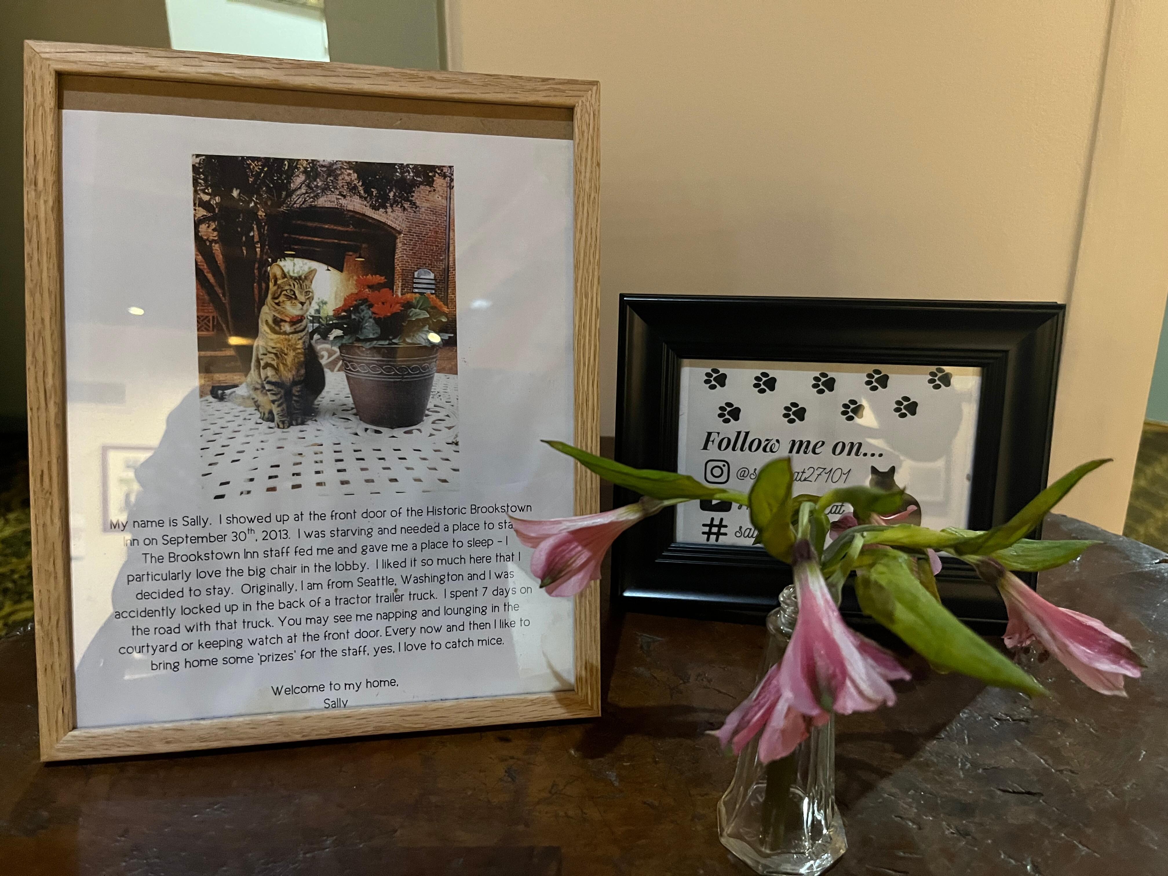 Sally’s story