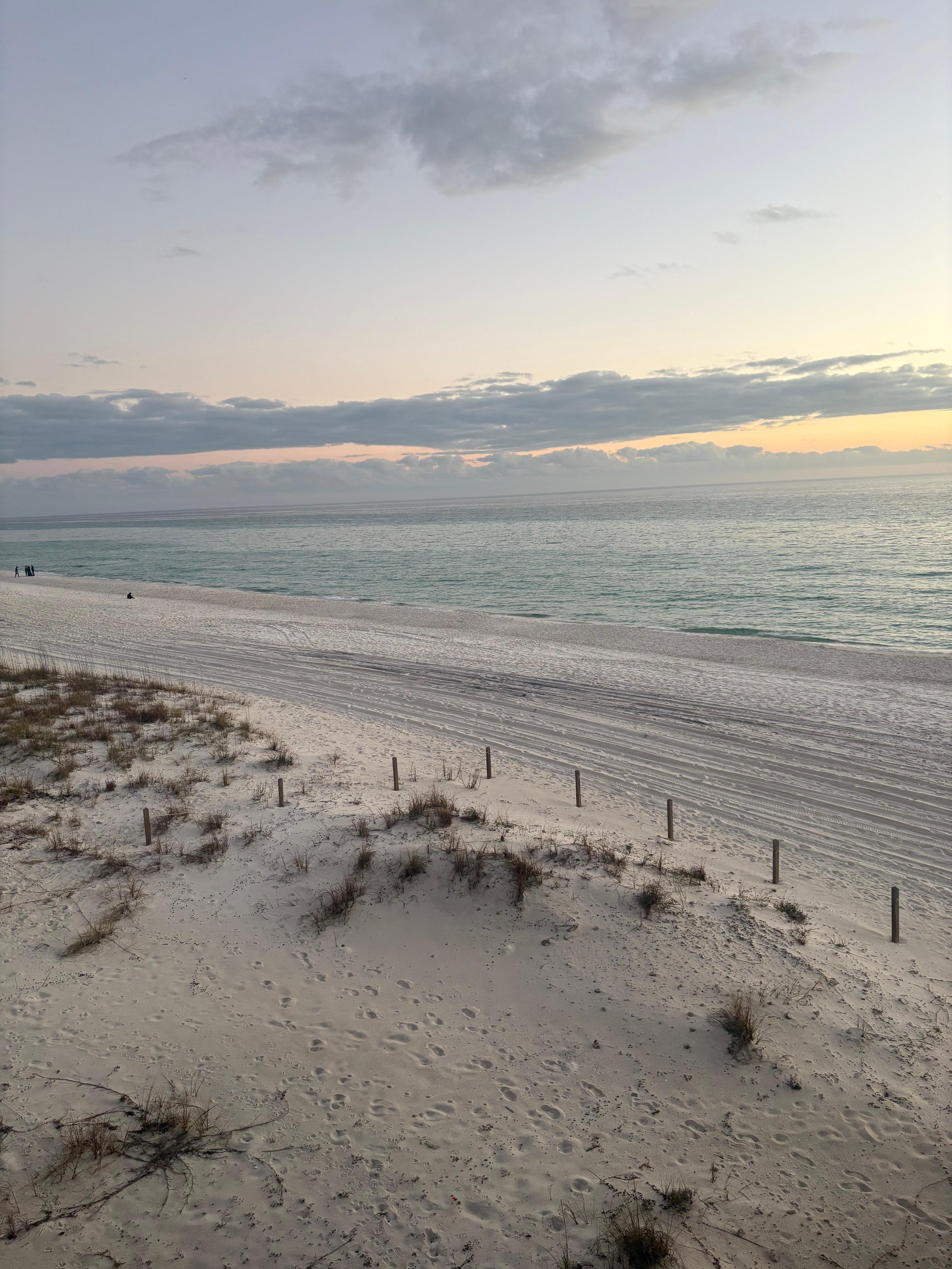 The reason it got 3 stars instead of zero 