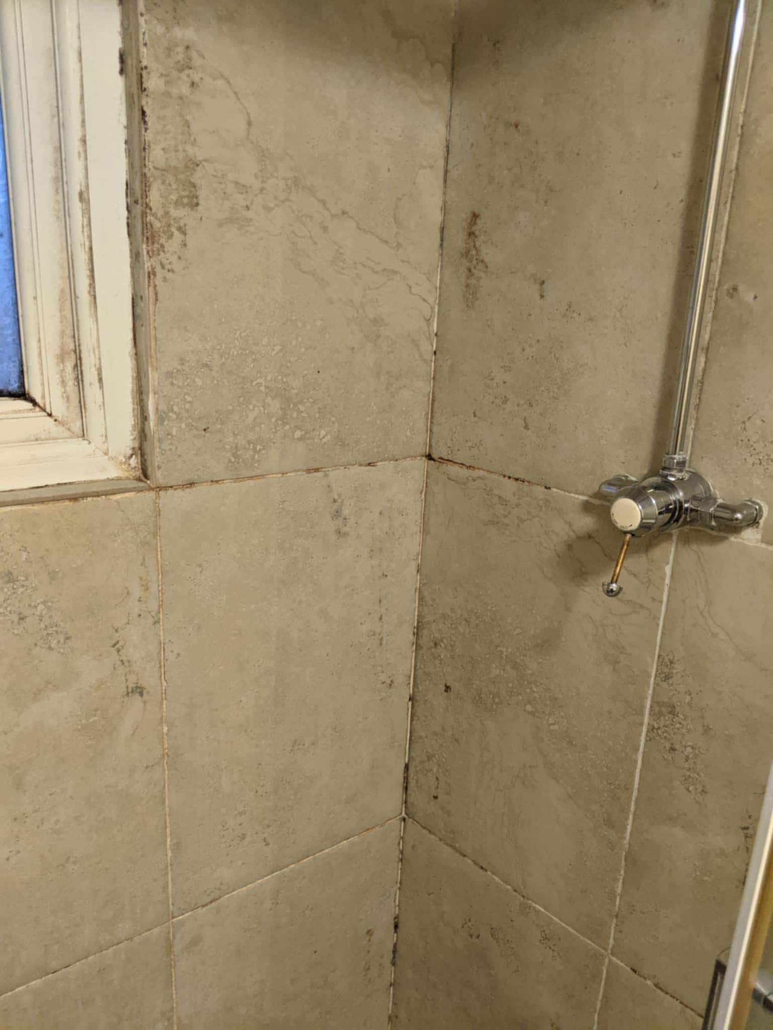 Mould and dirt in the shower