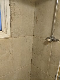 Mould and dirt in the shower