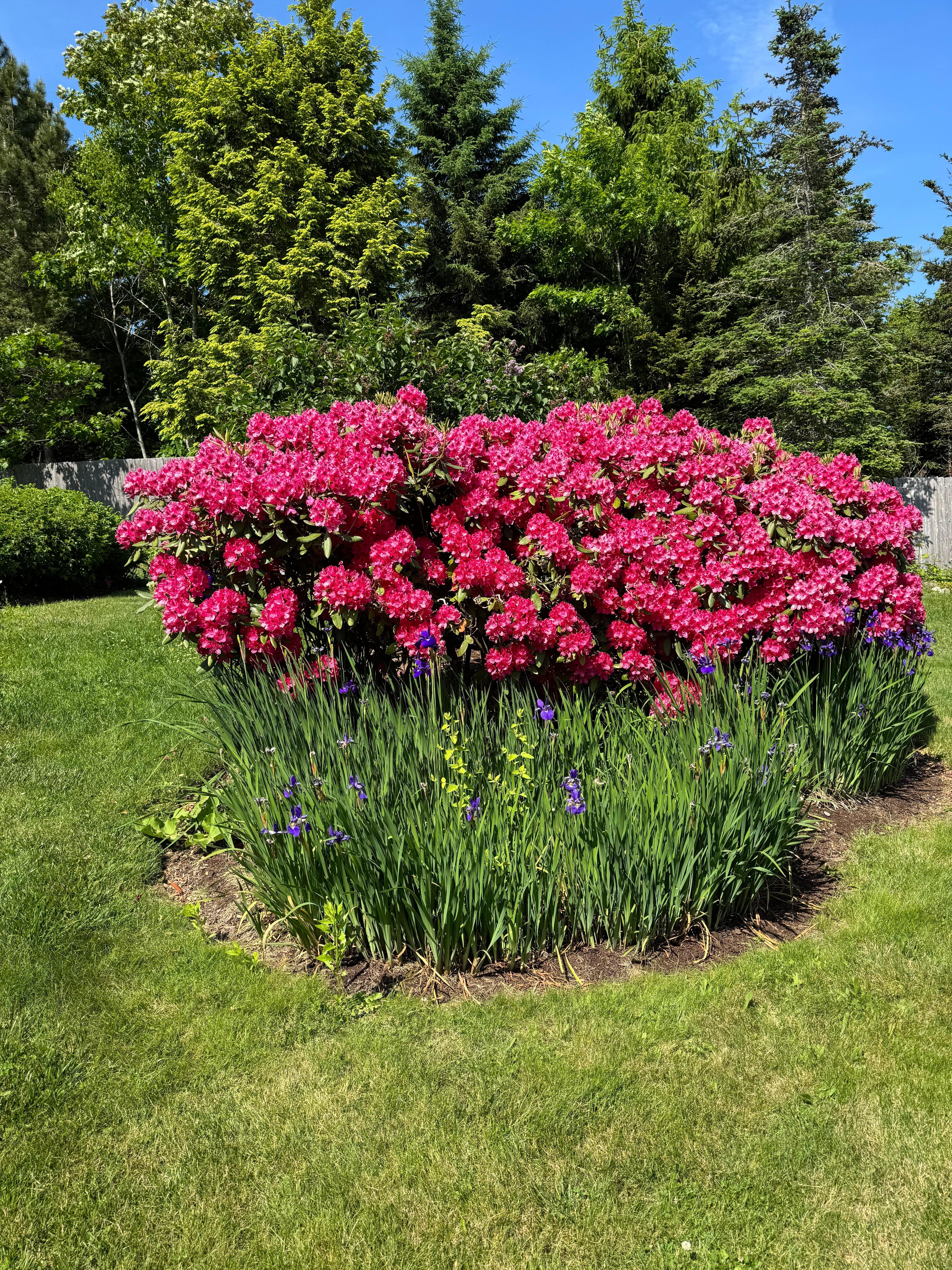 The colors were so brilliant