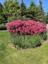 The colors were so brilliant
