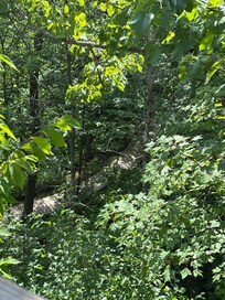 Bike trails looking down from the deck.