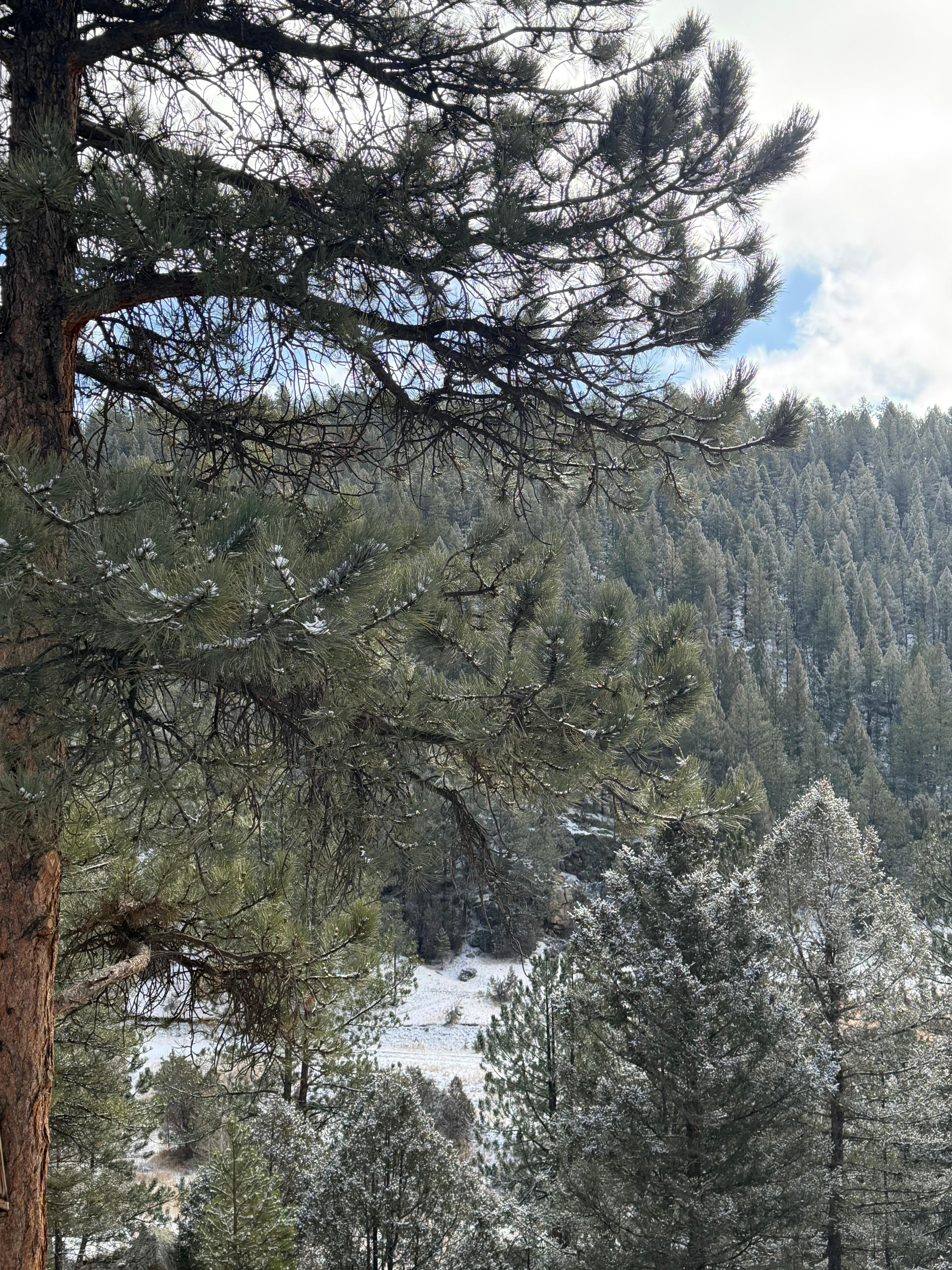 View from the back deck of the house