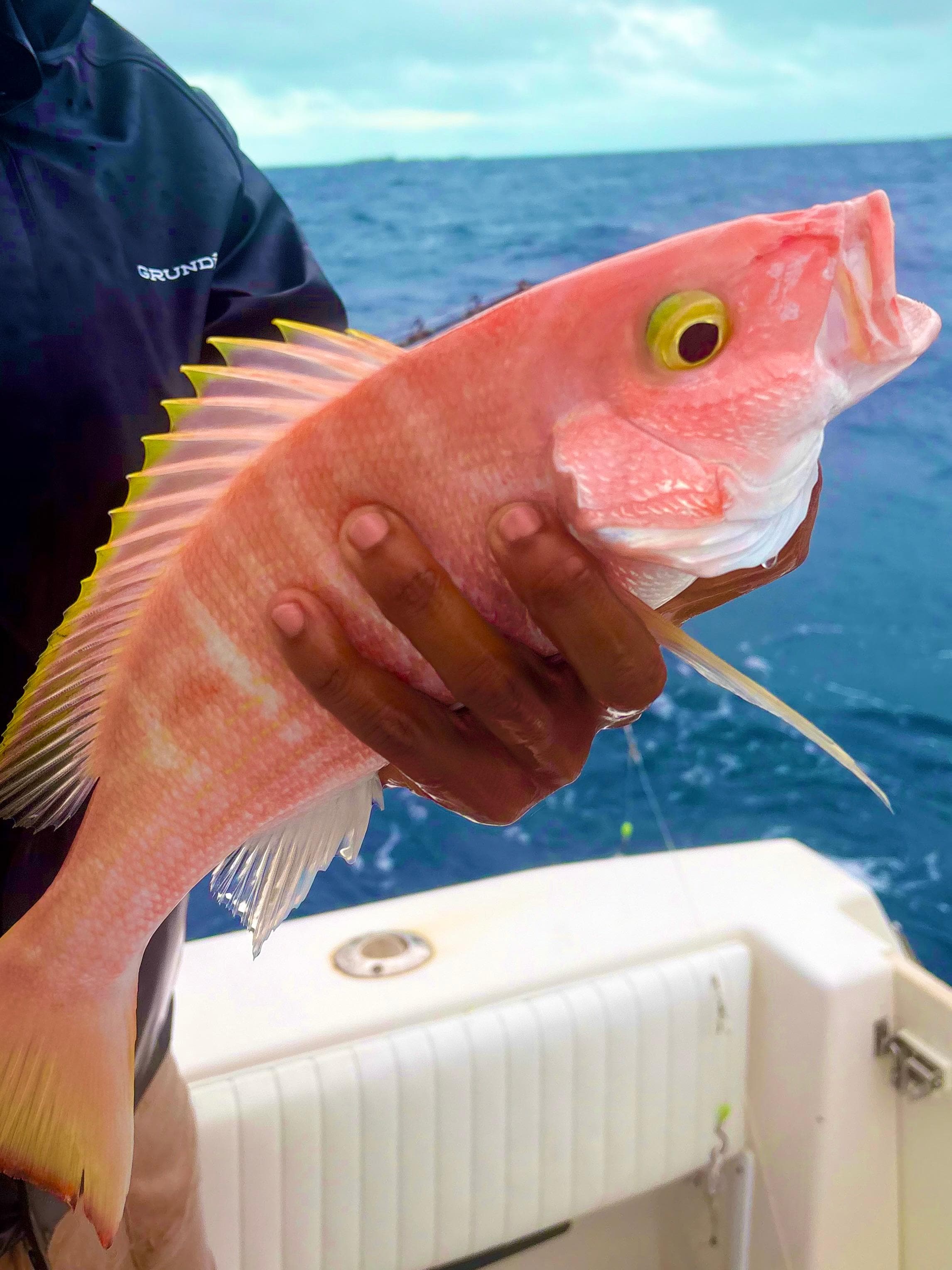 Fishing was excellent.