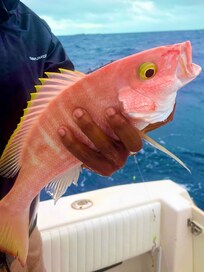 Fishing was excellent.