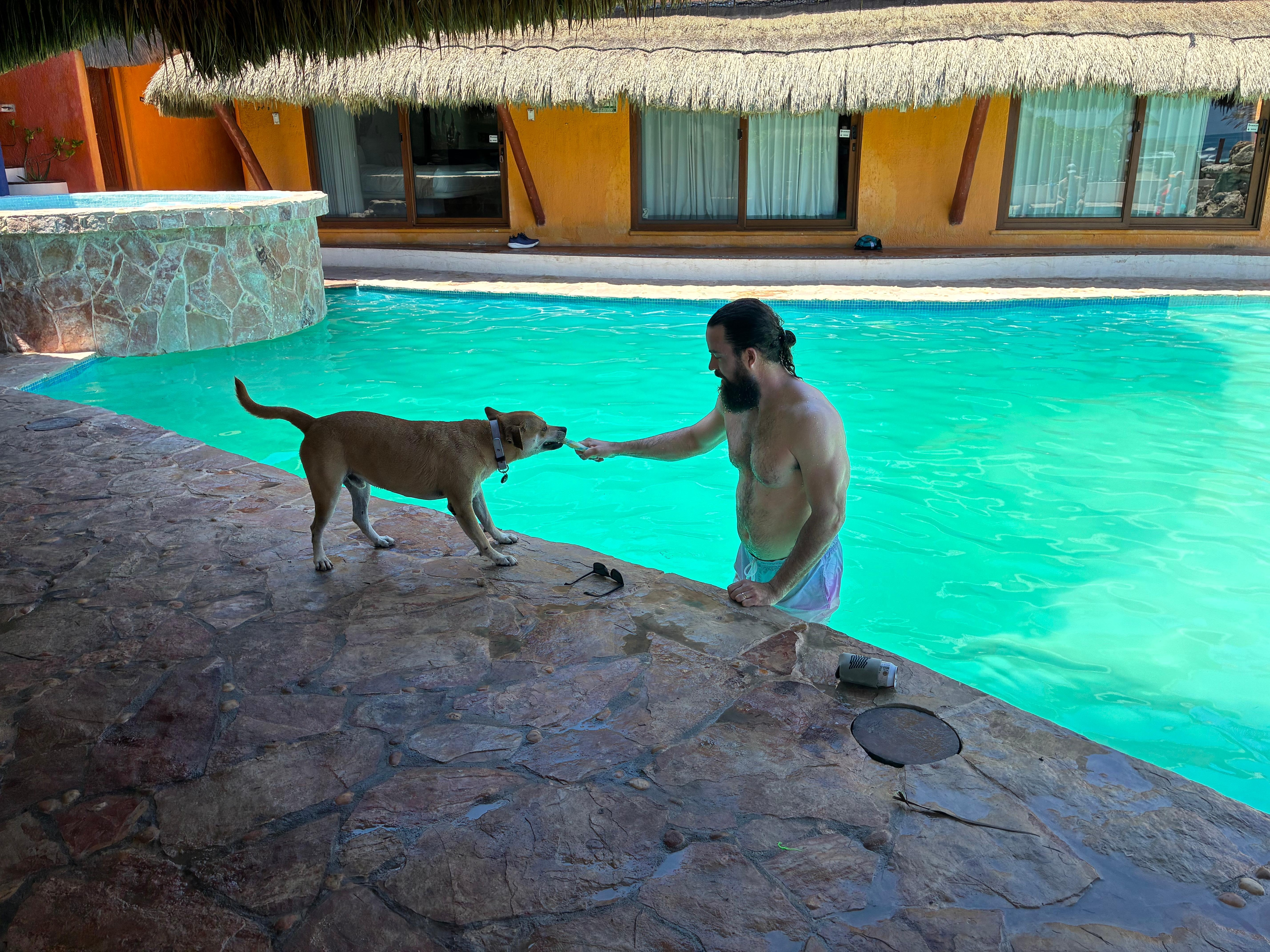 Camelo the best house dog!!!