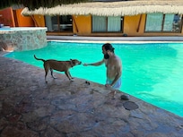 Camelo the best house dog!!!