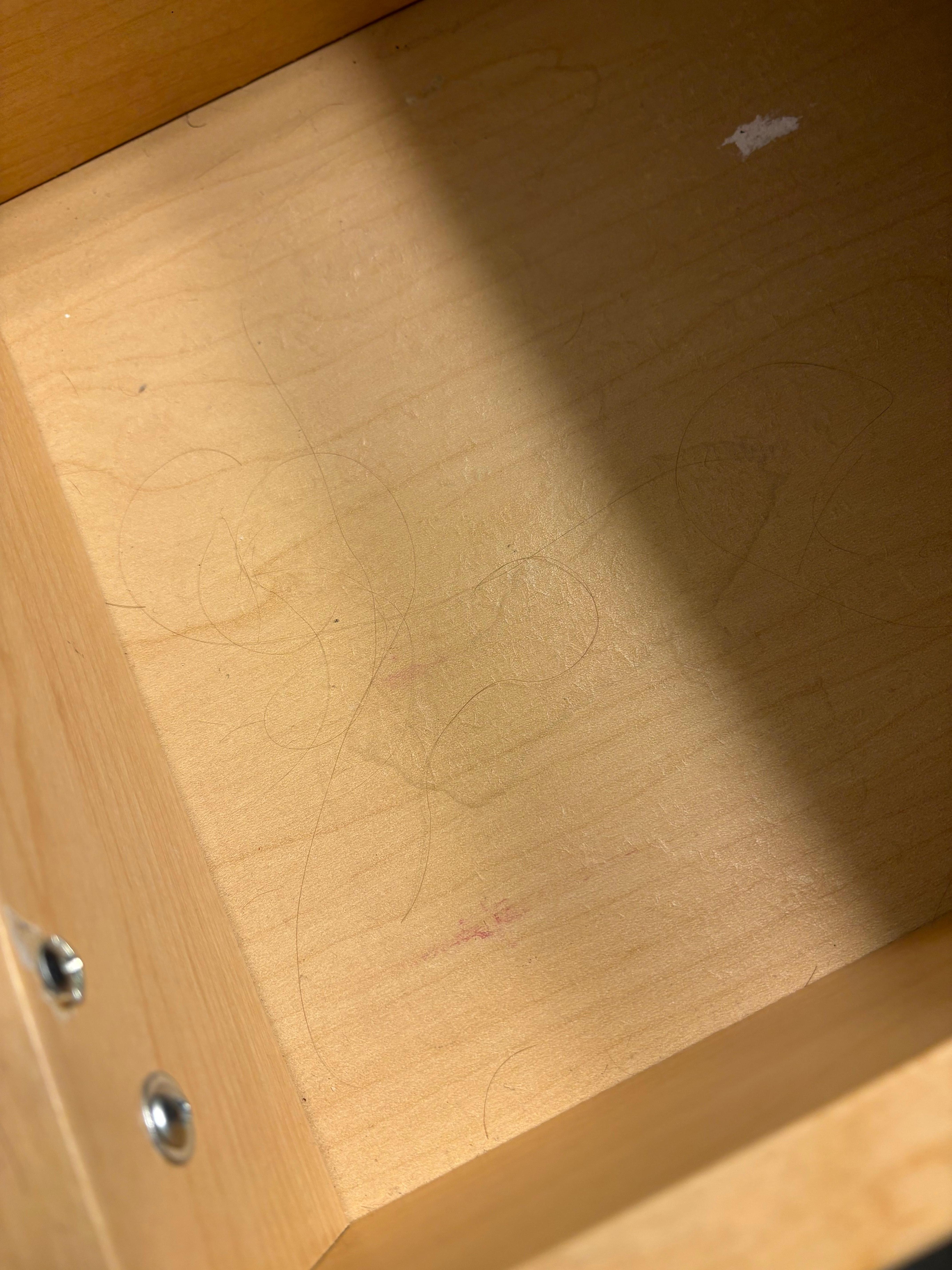 Leftover hair from another guest. 