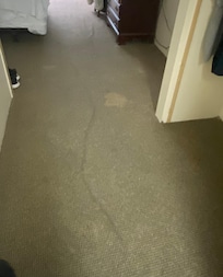 Carpet of room