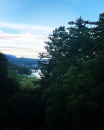 Vue de la chambre