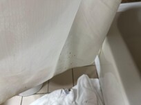 Shower curtain has a mold