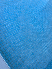 Mold and mildew
