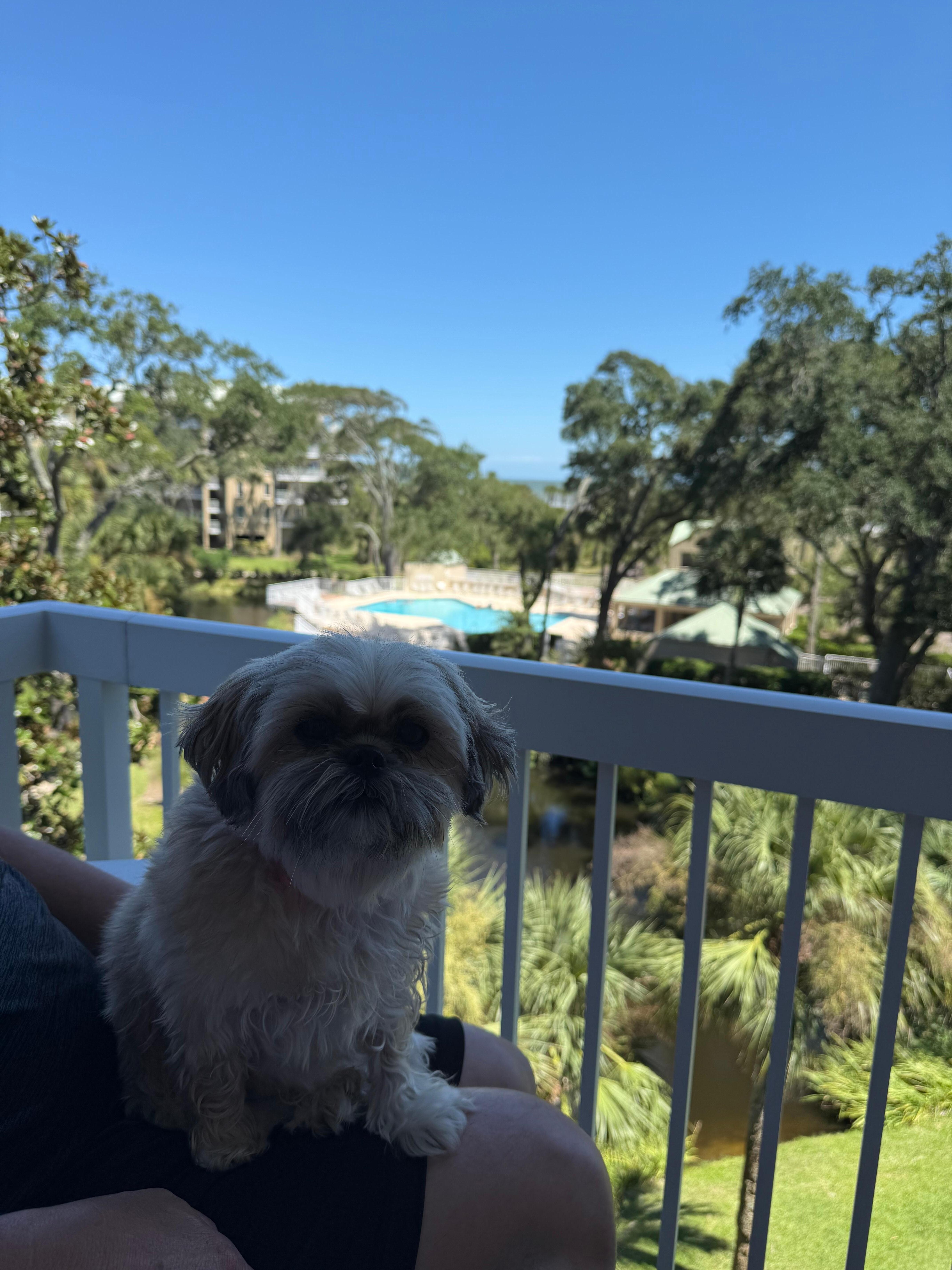 Charlotte loved looking over the resort. 