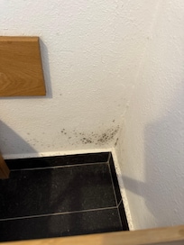 Schimmel im größeren Schlafzimmer