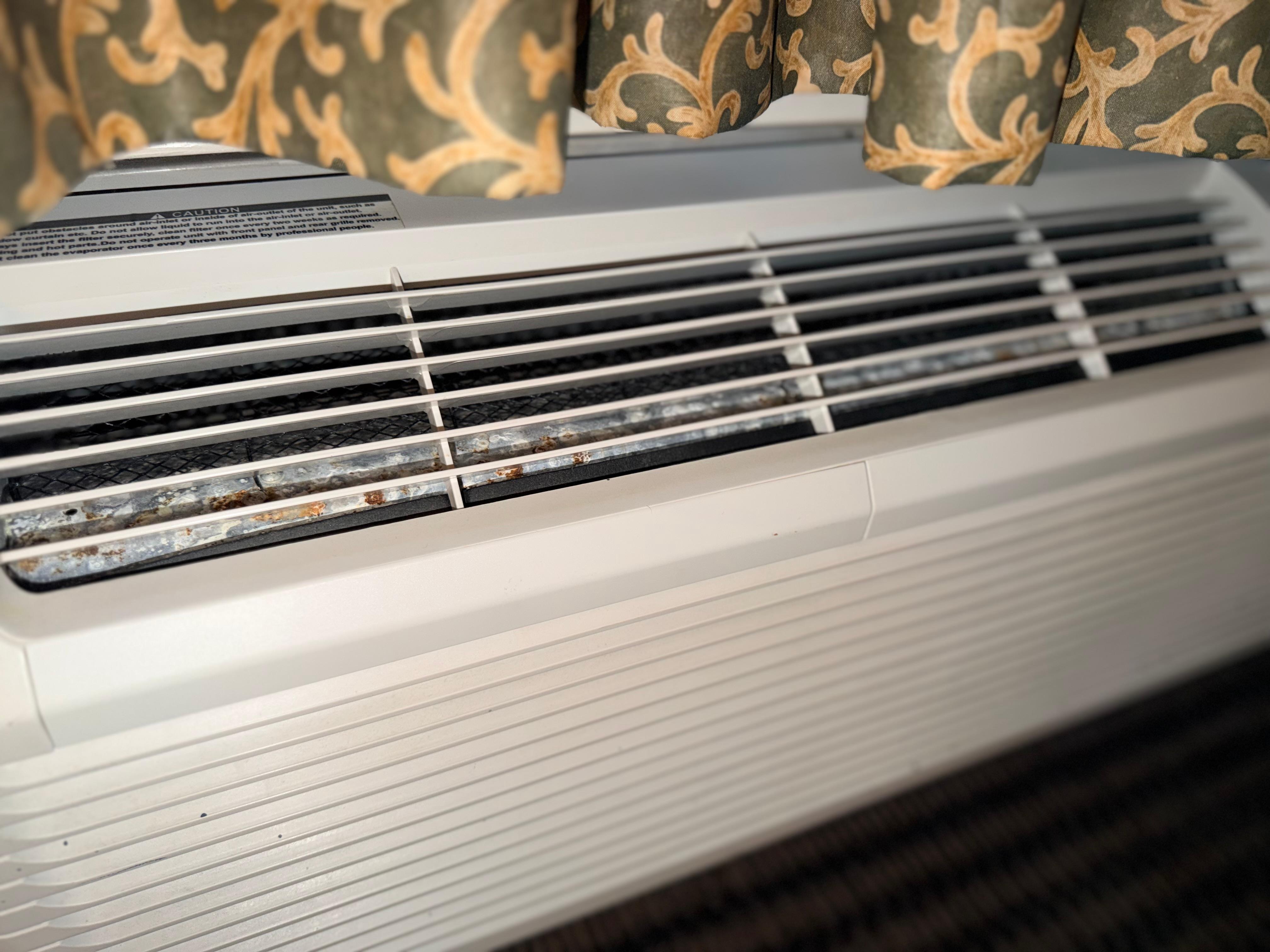 Mold in the AC. Had to deal with a stuffy room because there’s no way I was turning this on. 