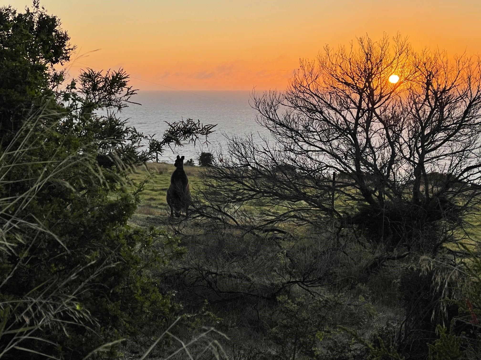 Abendsonne oberhalb des Hauses