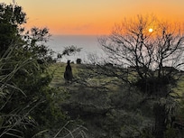 Abendsonne oberhalb des Hauses