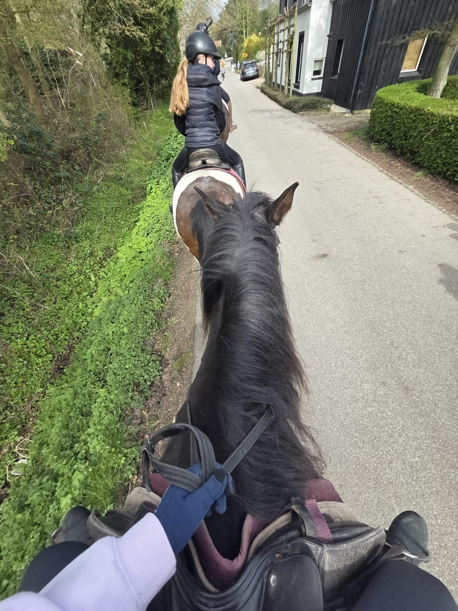 Strand und Waldausritte