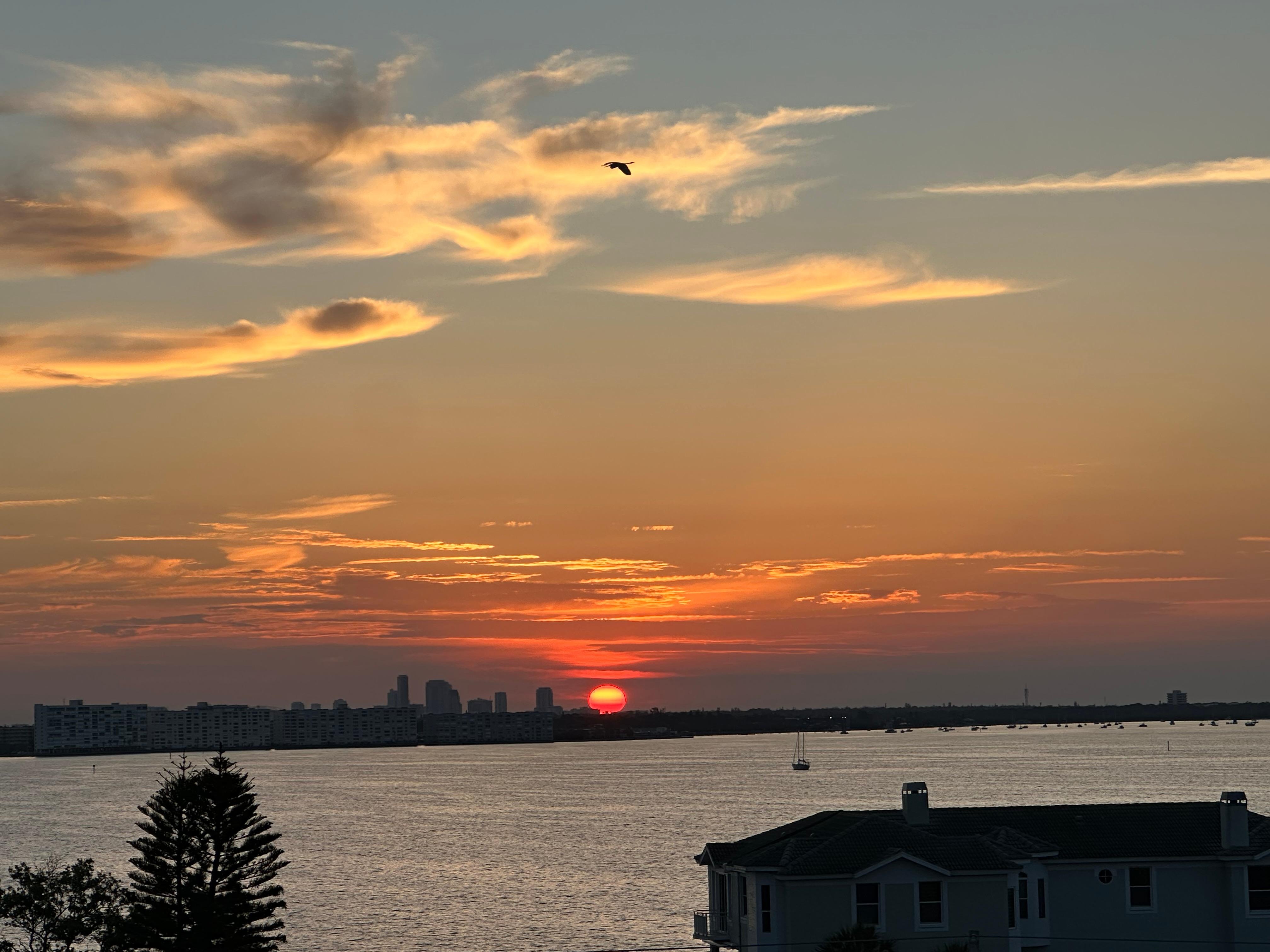 Sunrise view from the sleeper sofa. 