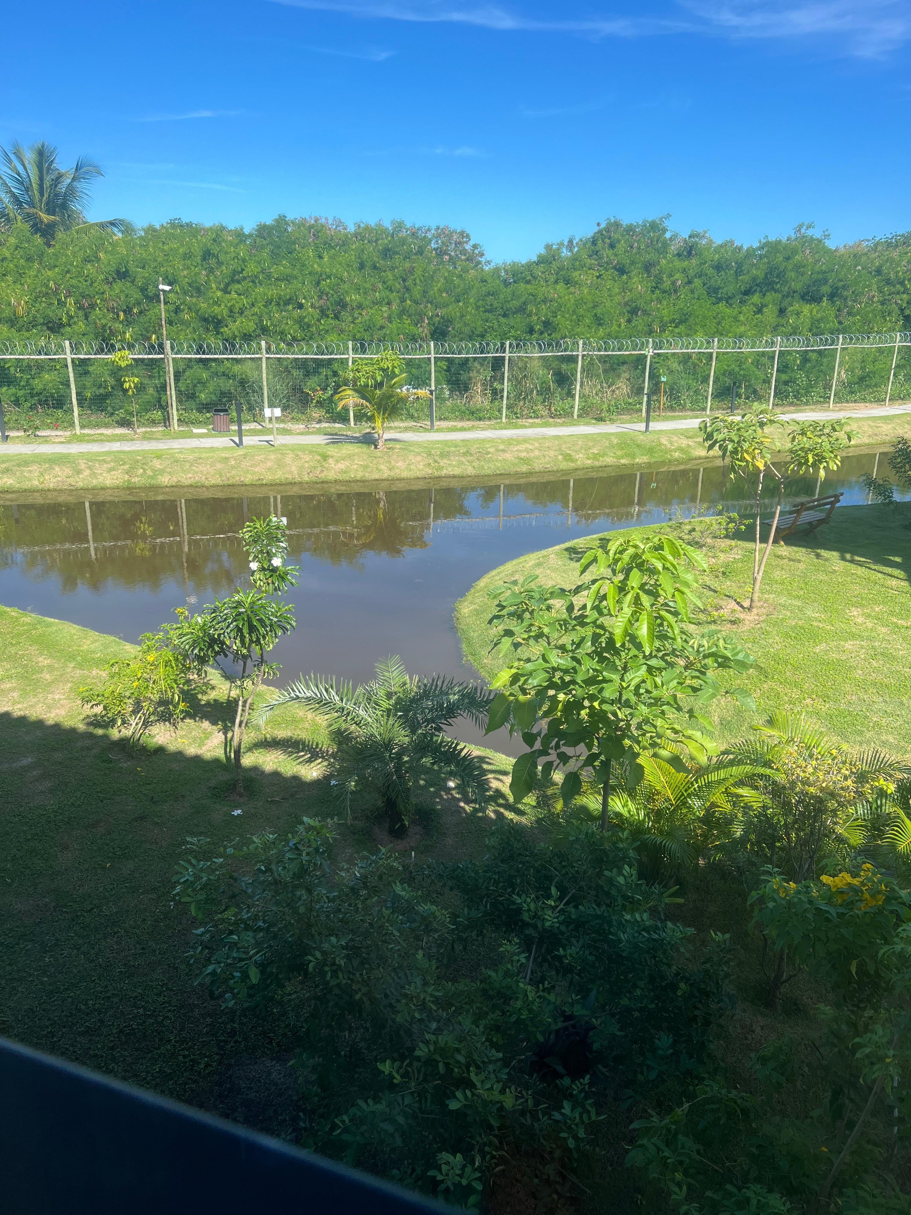 Nossa vista linda esses dias. 