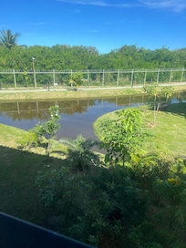 Nossa vista linda esses dias.