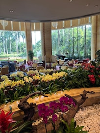 Orchids galore!