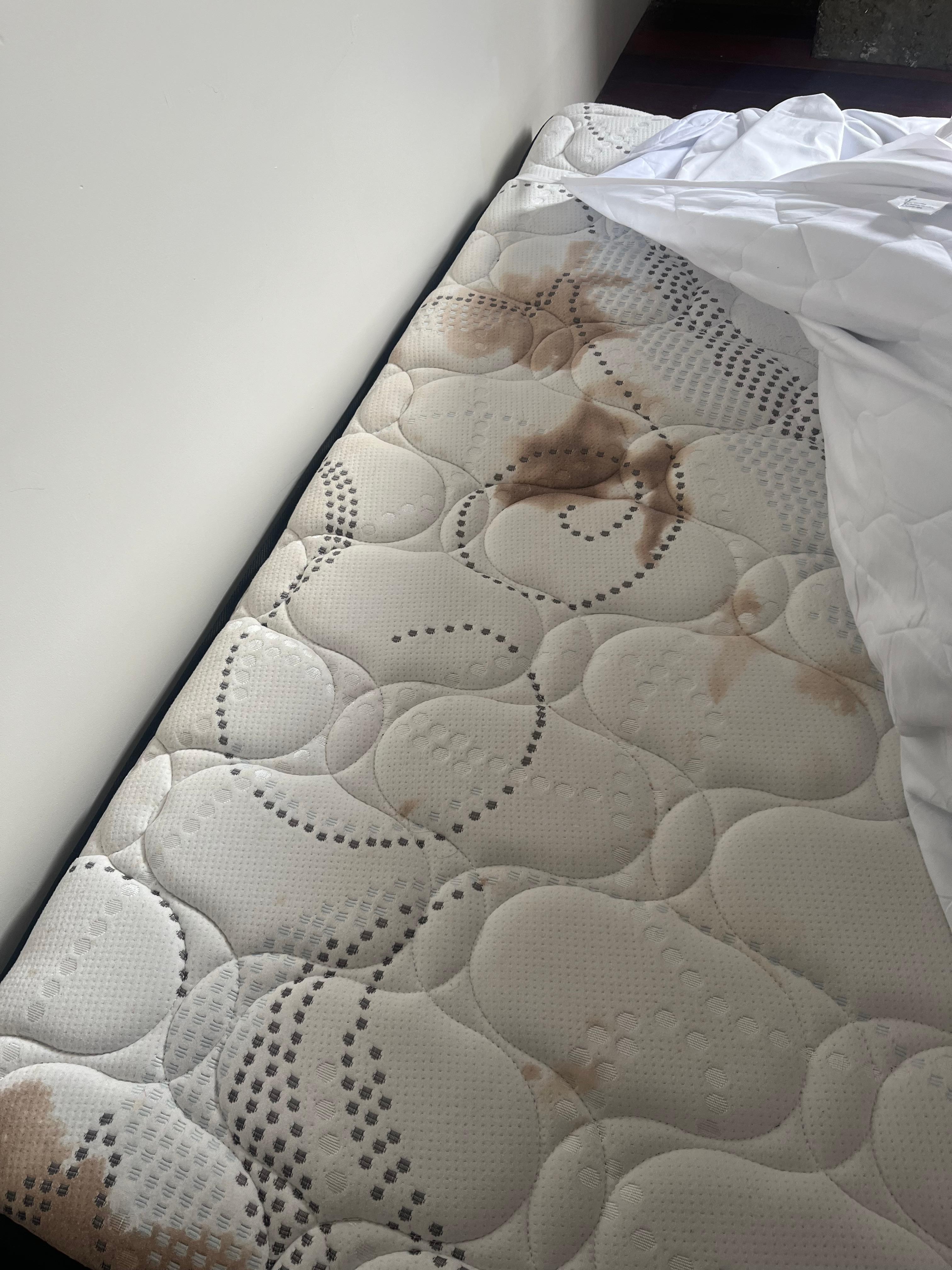 Absolutely disgusting 