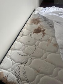 Absolutely disgusting