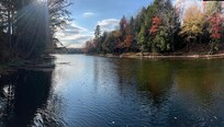 View from dock