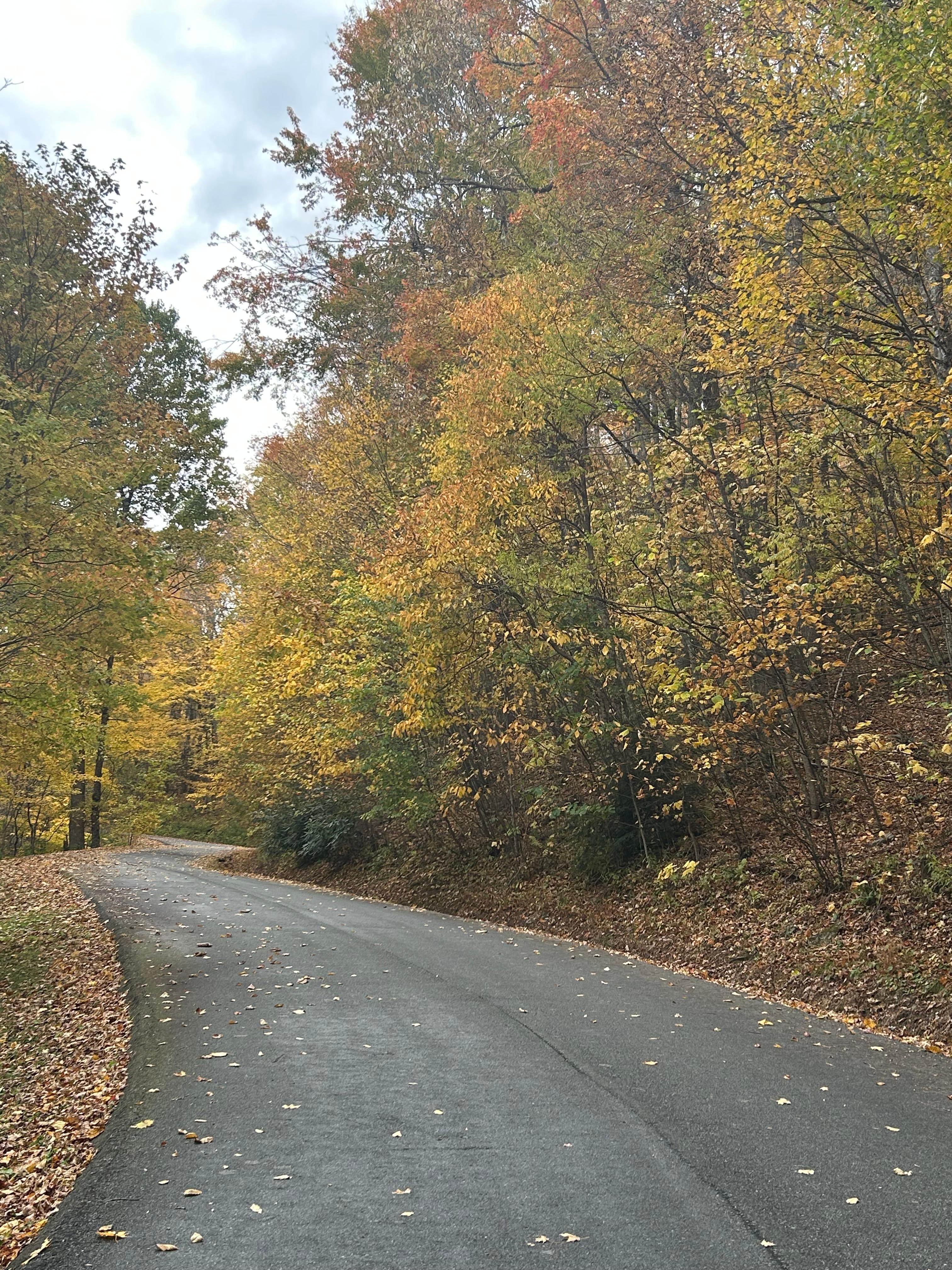 Colorful drive to cabin