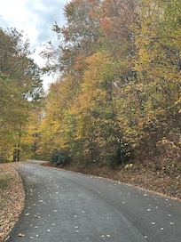 Colorful drive to cabin