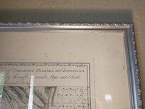 Mold spots all over the picture