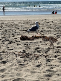 Beach!