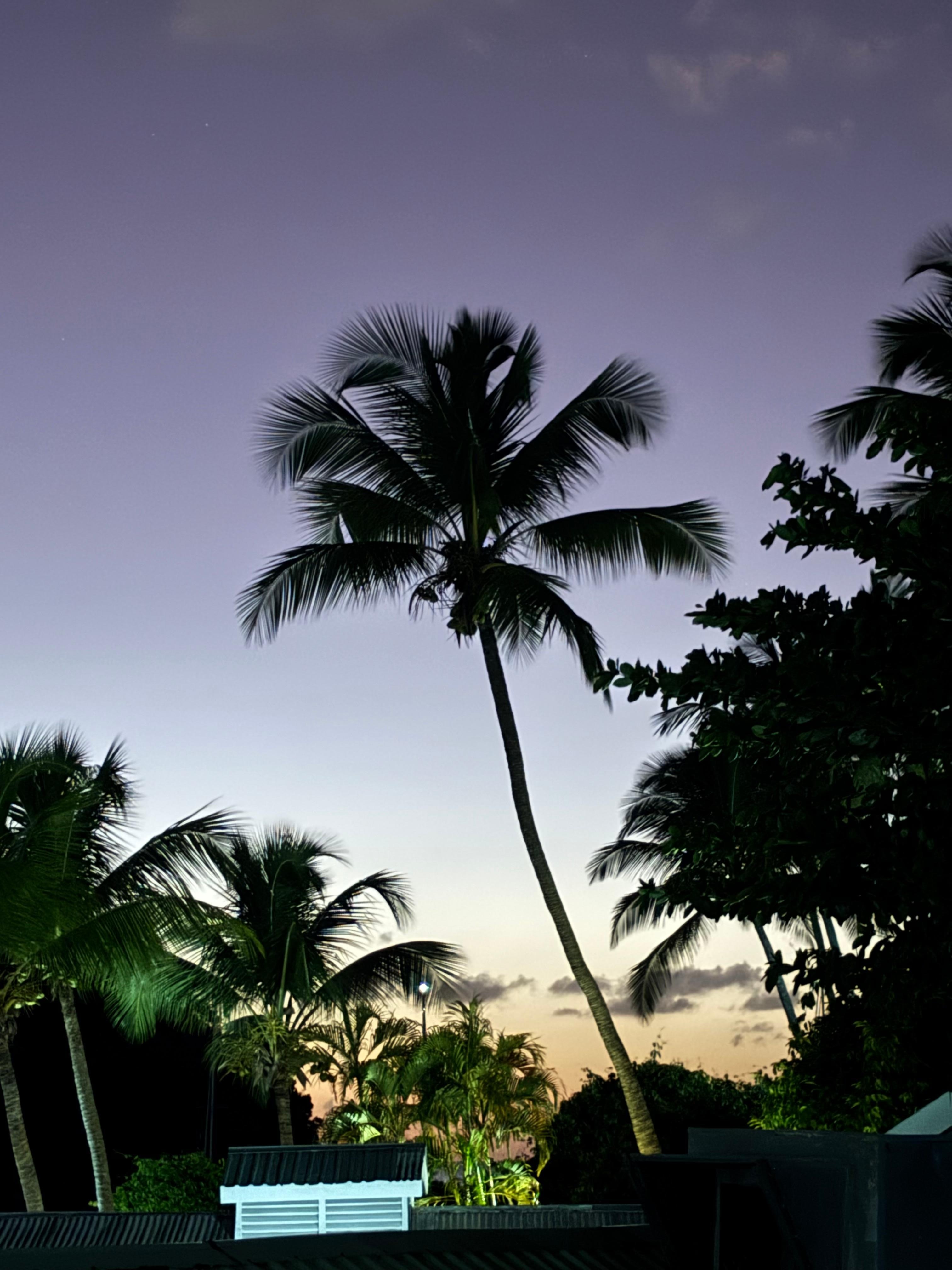 One of the views from my balcony.