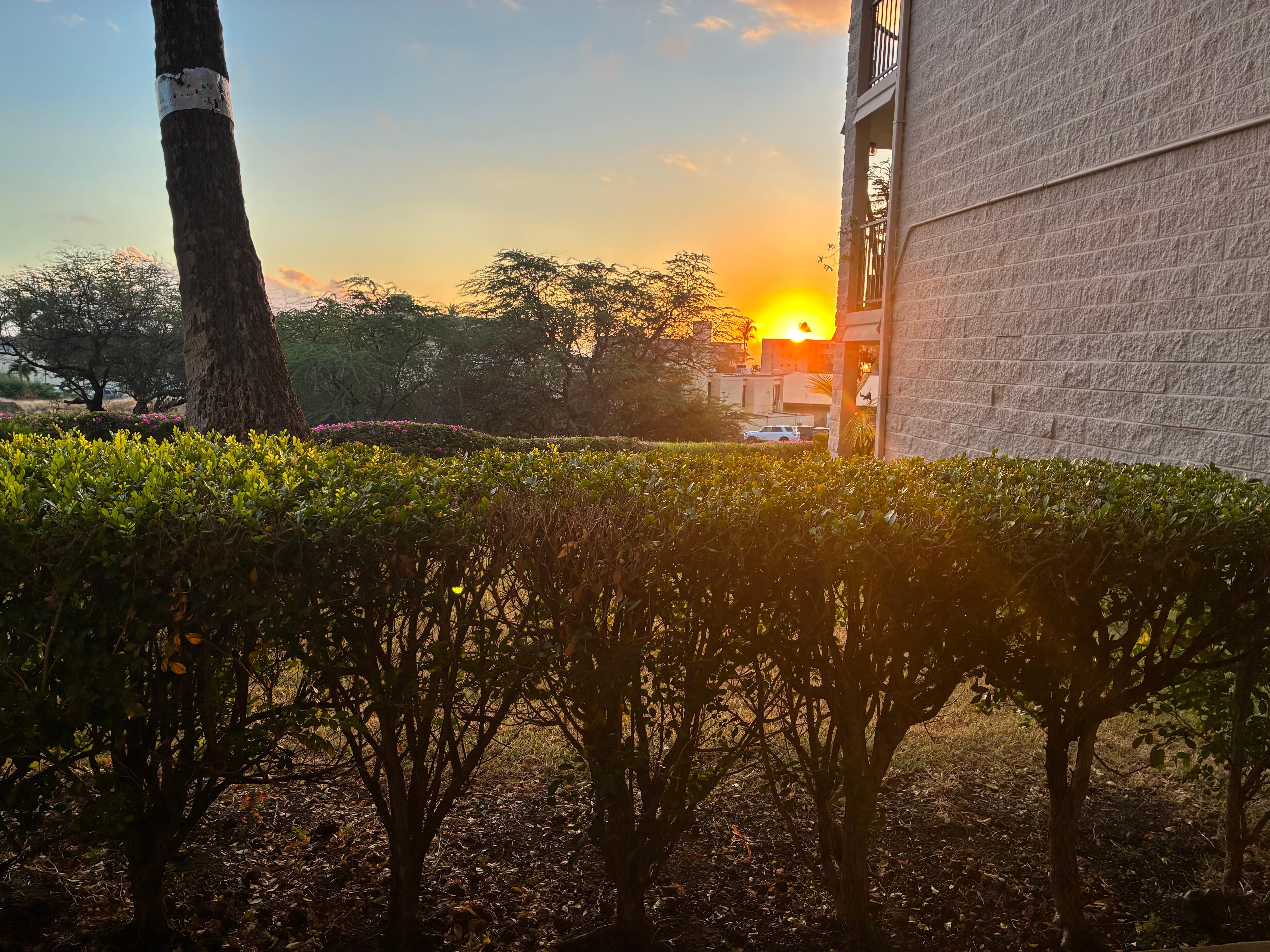 Sunset from the lanai.