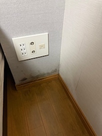 Mold