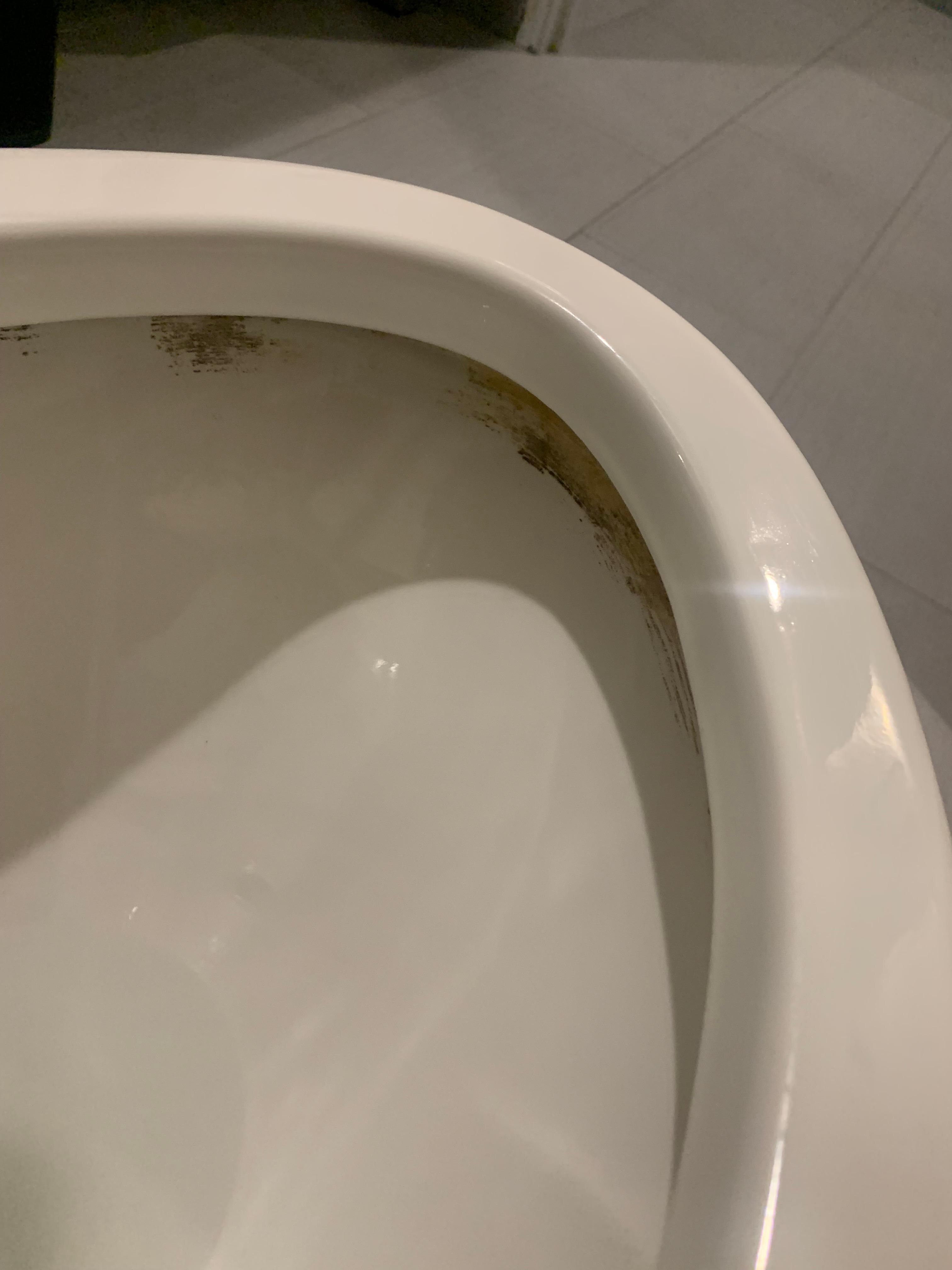 Mold in the toilet 